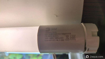 Фото Объединяем два в один, аквариум на 150 литров Serg34  (photo#156428)