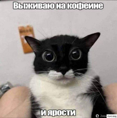 Просто поговорить