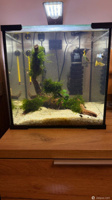 Кубик 30 литров, но по факту 21 (lera.f)