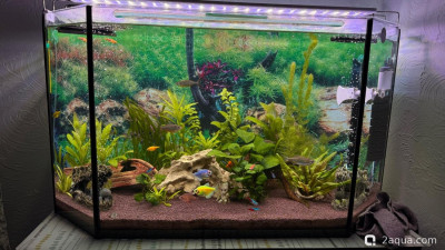 Фото 110 литров счастья, или новая банка трапеция lera.f  (photo#156441)