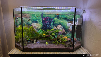 110 литров счастья, или новая банка трапеция (lera.f)