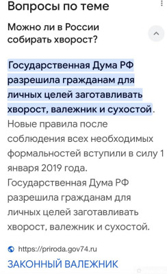 Почему в РФ всё запрещают