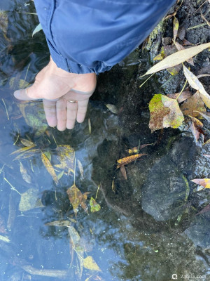 Чёрная вода