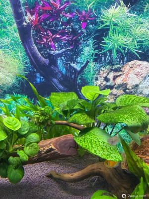 110 литров счастья, или новая банка трапеция (lera.f)