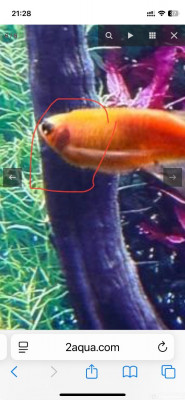 110 литров счастья, или новая банка трапеция (lera.f)