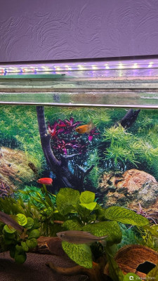 110 литров счастья, или новая банка трапеция (lera.f)