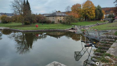 Кельхайм и Монумент Бефрайунгсхалле