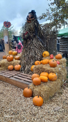 Фестиваль Тыквенного Хэллоуина - Huckepack