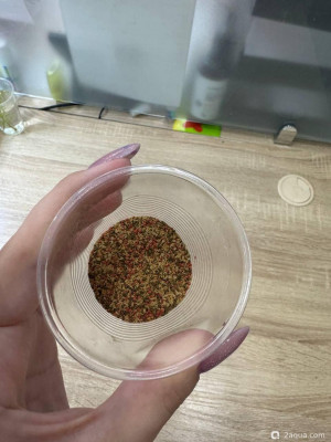 Заболела рыбка Петушок, облазит хвост