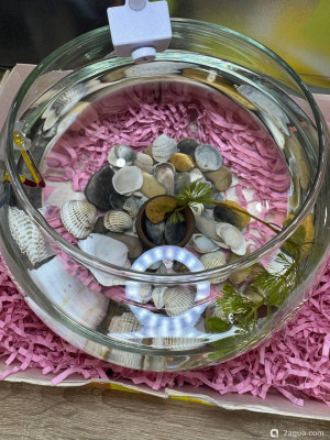 Заболела рыбка Петушок, облазит хвост