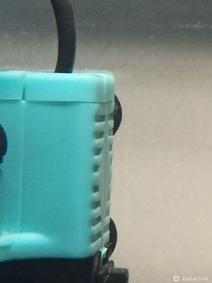 Что завелось на растениях