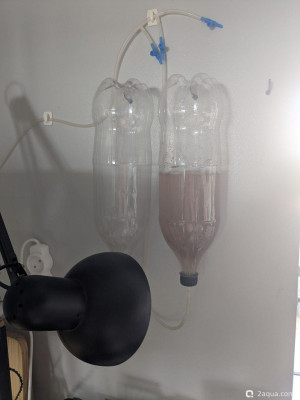 Лучший инкубатор для артемии