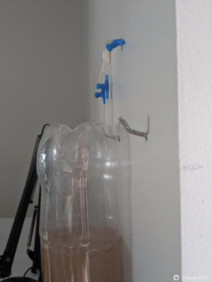 Лучший инкубатор для артемии