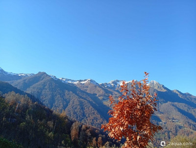 Сочи в  межсезонье