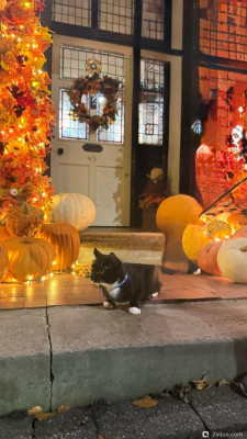 Фестиваль Тыквенного Хэллоуина - Huckepack