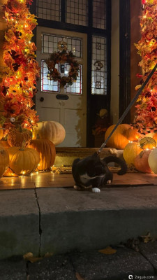 Фестиваль Тыквенного Хэллоуина - Huckepack