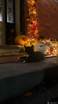 Фестиваль Тыквенного Хэллоуина - Huckepack