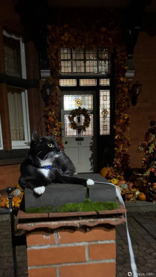 Фестиваль Тыквенного Хэллоуина - Huckepack