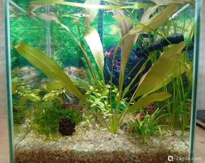 Кубик для кухни 15 литров (Ленчик)