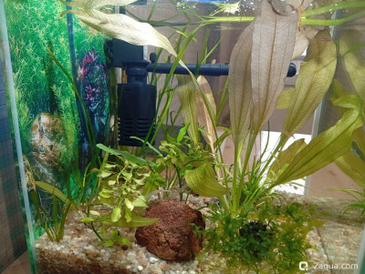 Кубик для кухни 15 литров (Ленчик)