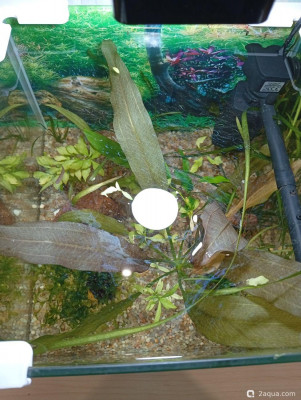 Кубик для кухни 15 литров (Ленчик)