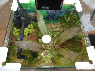 Кубик для кухни 15 литров (Ленчик)