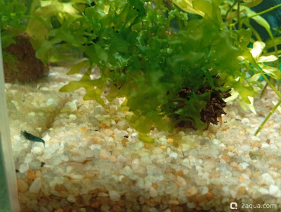 Кубик для кухни 15 литров (Ленчик)