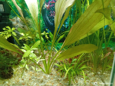 Кубик для кухни 15 литров (Ленчик)