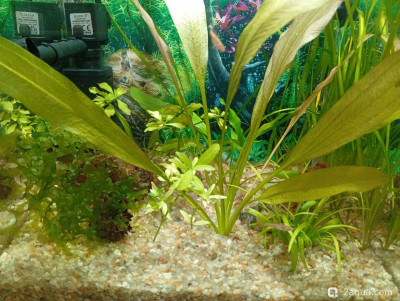 Кубик для кухни 15 литров (Ленчик)