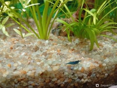 Кубик для кухни 15 литров (Ленчик)