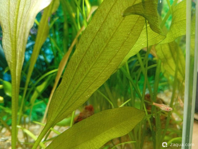 Кубик для кухни 15 литров (Ленчик)