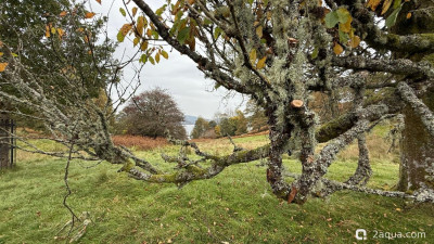 Красивые места, в которых я был