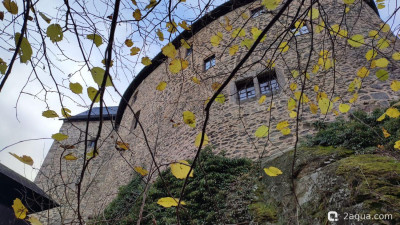 Замок ( Крепость ) Фалькенберг