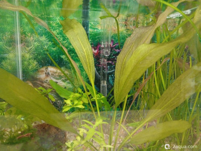 Кубик для кухни 15 литров (Ленчик)