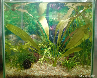 Кубик для кухни 15 литров (Ленчик)