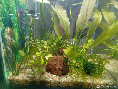 Кубик для кухни 15 литров (Ленчик)