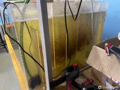 Помогите спасти рыбину