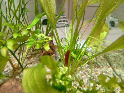 Кубик для кухни 15 литров (Ленчик)