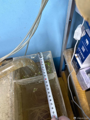 Помогите спасти рыбину