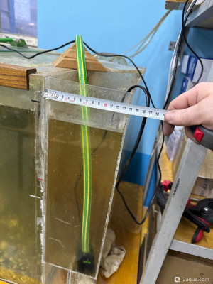 Помогите спасти рыбину