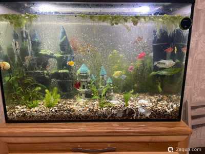 Проблема с нитратами/нитритами