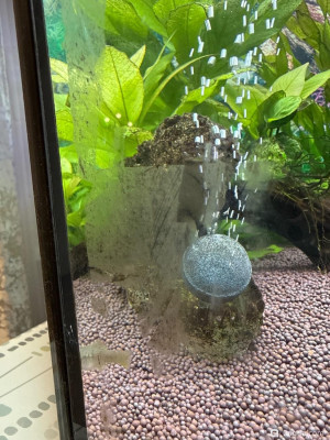 110 литров счастья, или новая банка трапеция (lera.f)