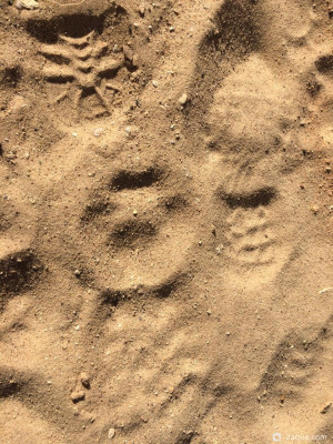 Фото А чебурашка то - еврей (photo#156750)