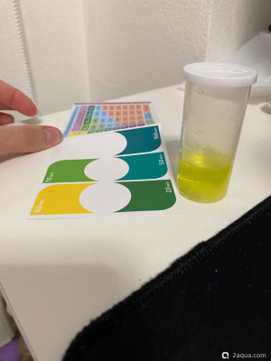 Фото Красные пятна (photo#156788)