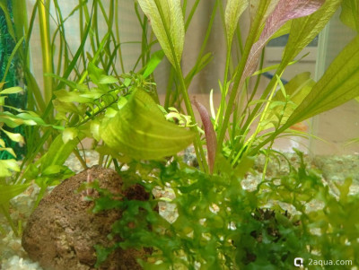 Фото Кубик для кухни 15 литров Ленчик  (photo#156792)