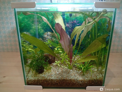 Фото Кубик для кухни 15 литров Ленчик  (photo#156804)