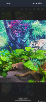 Фото 110 литров счастья, или новая банка трапеция lera.f  (photo#156827)