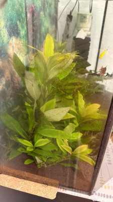 Фото 110 литров счастья, или новая банка трапеция lera.f  (photo#156829)