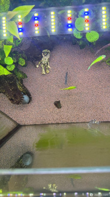 Фото 110 литров счастья, или новая банка трапеция lera.f  (photo#156832)