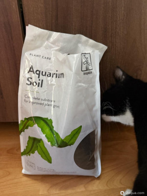 Фото Подводный Романтик. Мой аквариум Fluval Roma 120 литров Zlatka  (photo#156846)